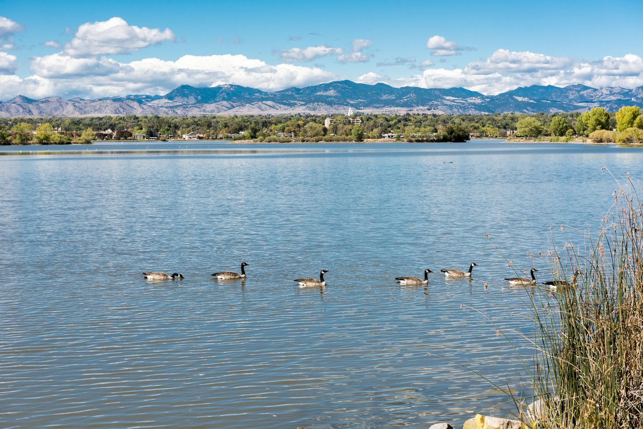 Sloans Lake
