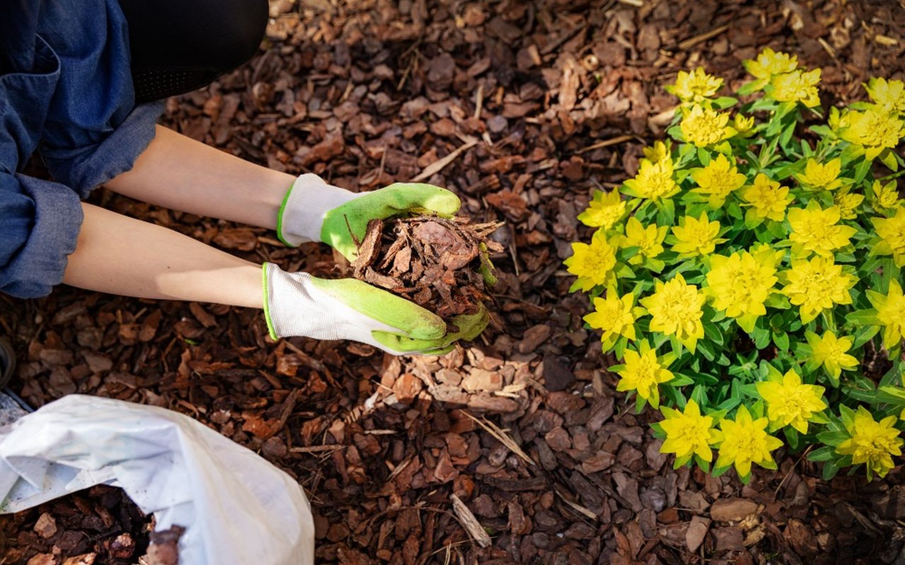 The Maricopa County Home & Landscape Show – July 16, 17 and 18, 2021