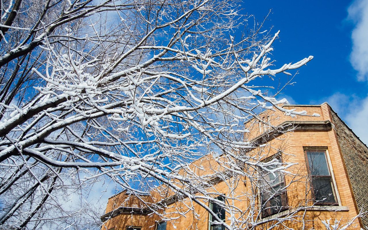 5 Ways Your House Can be Affected by the Winter Cold