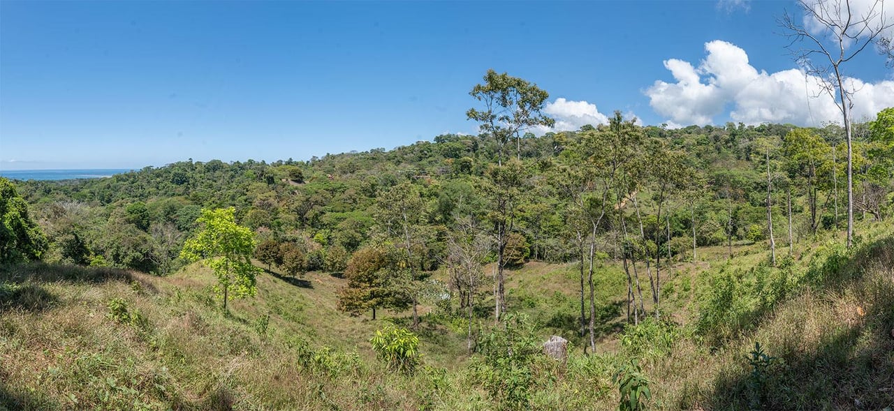 Prime Ocean and Whale tail View Development Land In Uvita