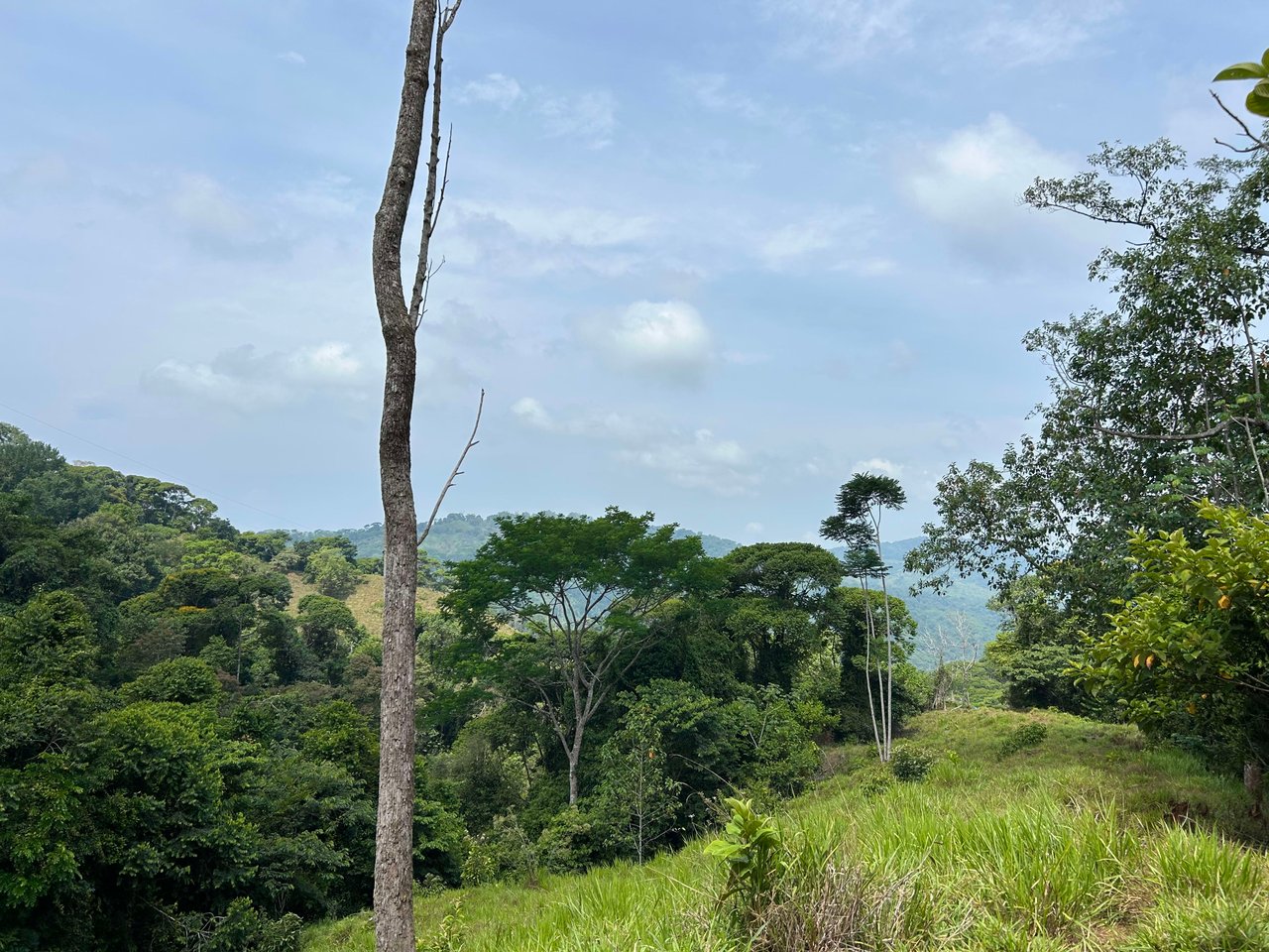 Over 76 Acres in Hatillo Overlooking Playa Linda