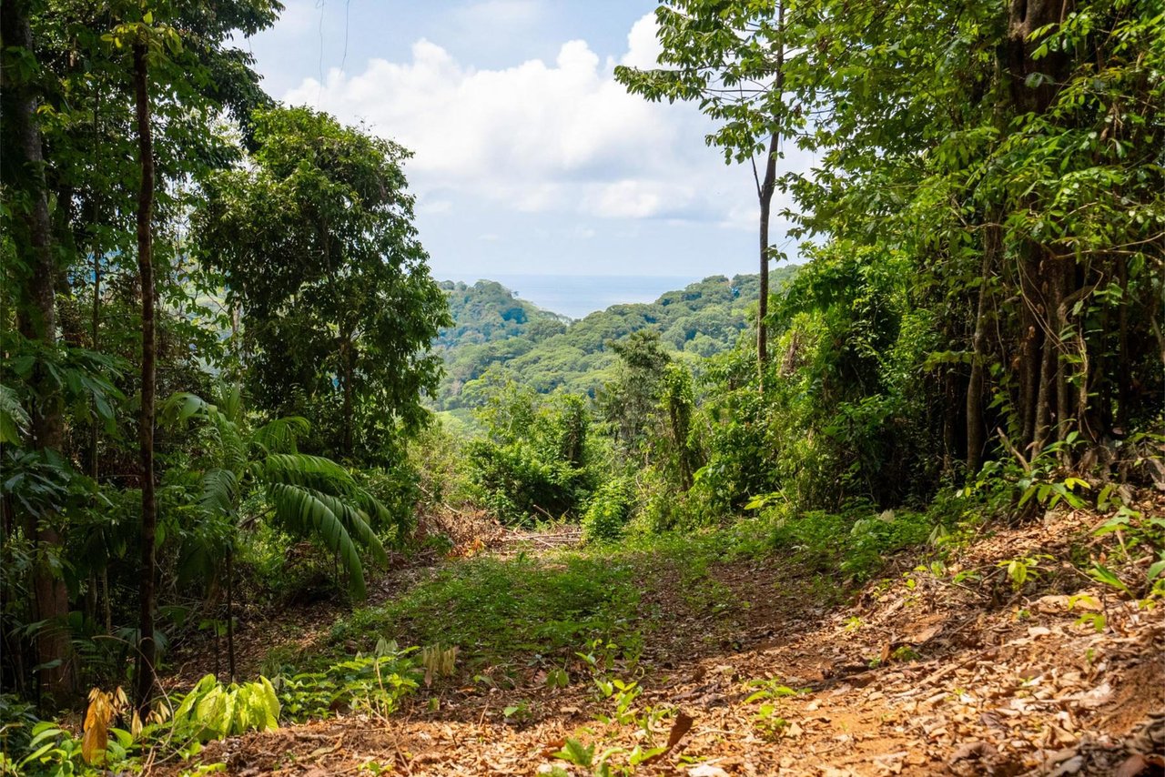 Private Ocean View Development Lot, Dominical, Puntarenas