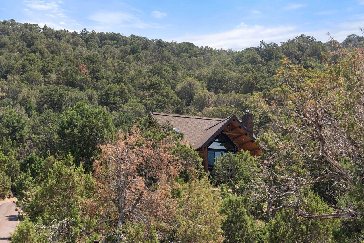  Modern and Chic Log Cabin in Basalt 