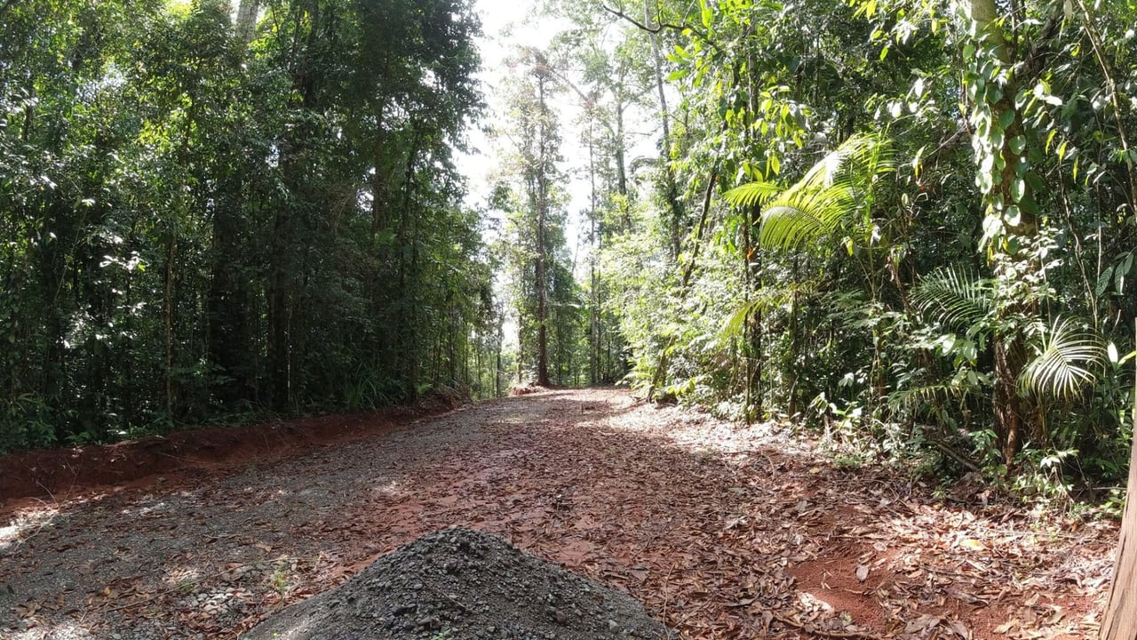 Secluded Rainforest Beachfront Estate, Osa, Puntarenas