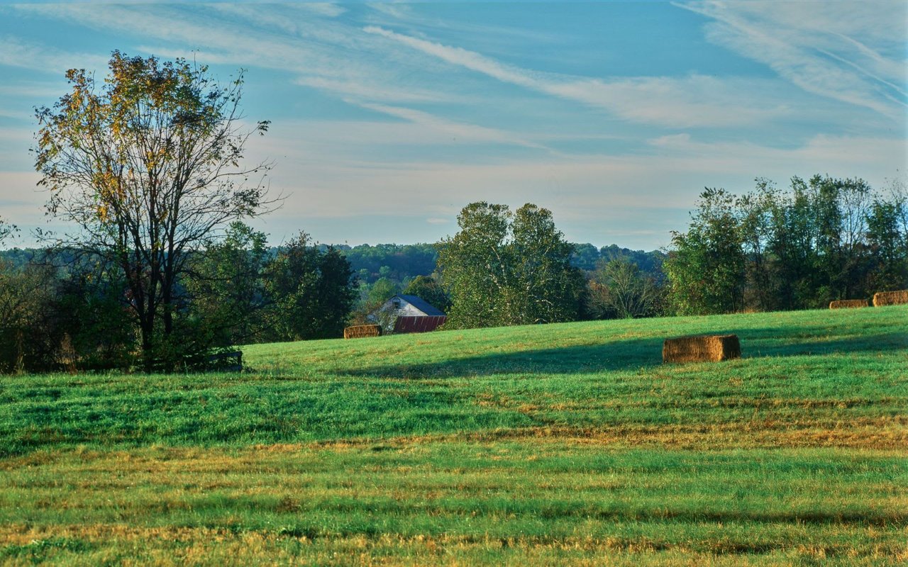 Harrison Valley