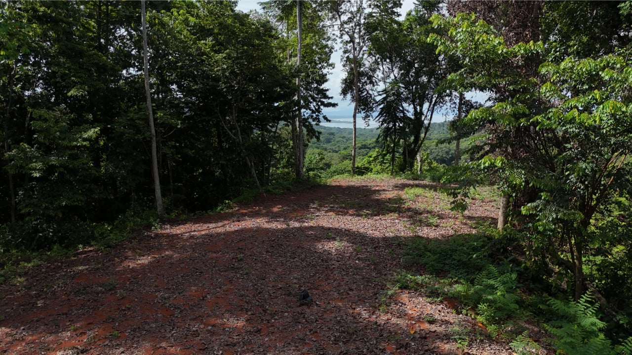 Secluded Ocean View Development Land, Ojochal, Puntarenas