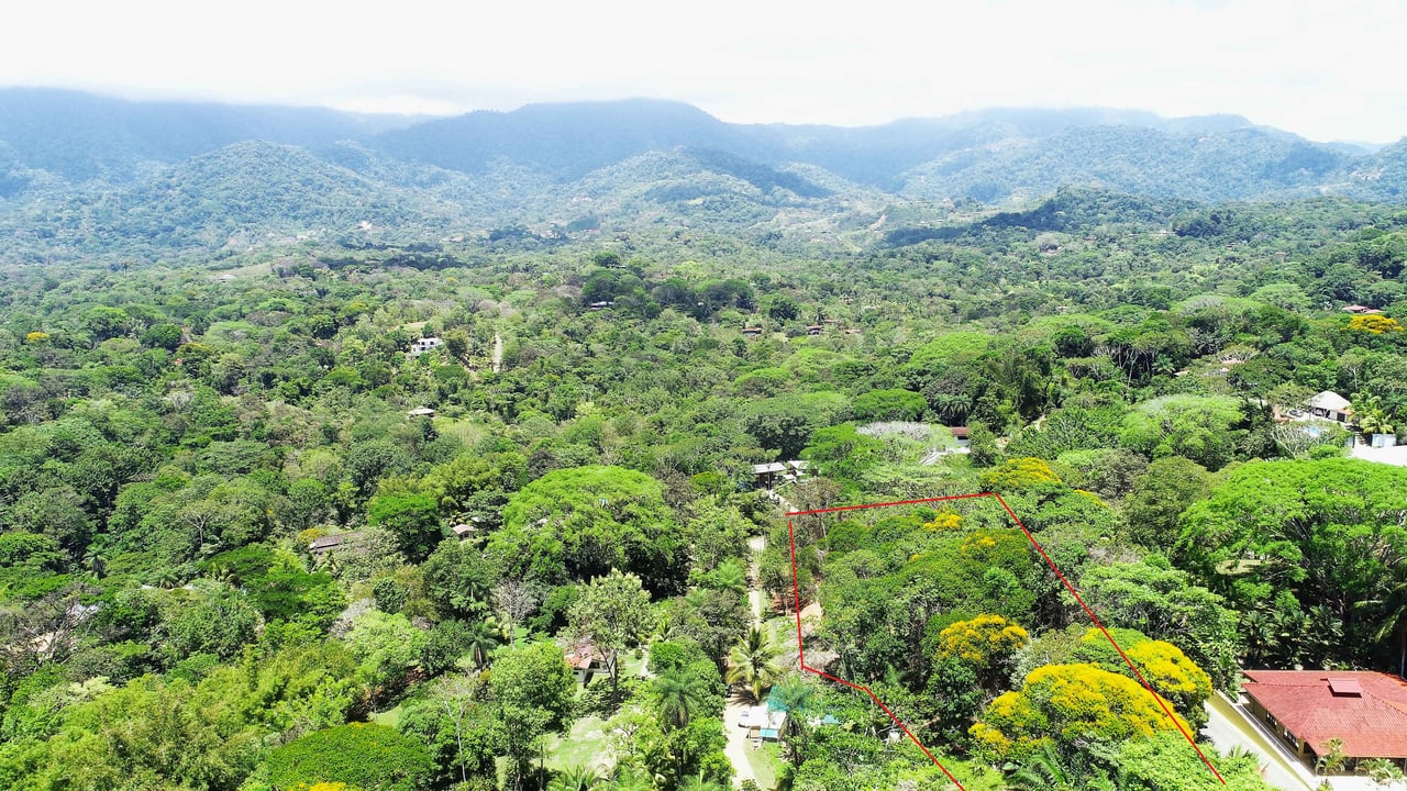 Over One Acre Attractive Lot on the Popular PEREZOSO Road.
