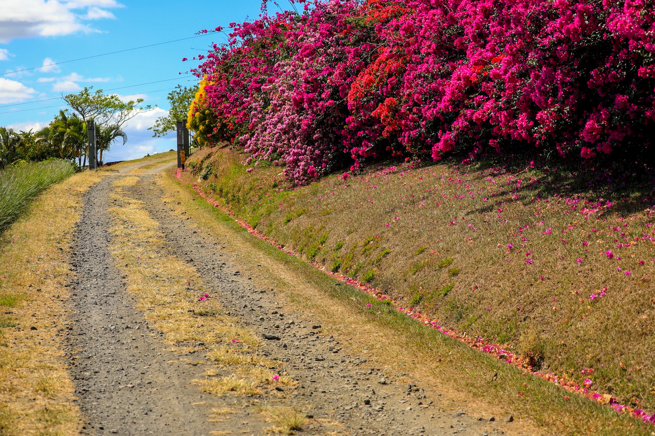 Historic Coffee Farm Estate, Heredia