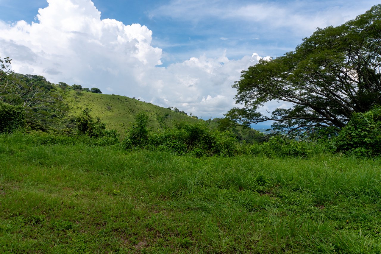 Subdivided Mountain View Land, Atenas, Alajuela