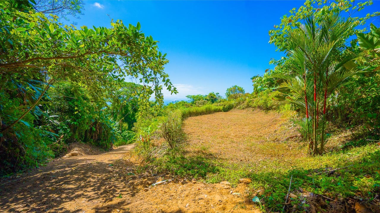 Flat Buildable Ocean View Lot, Ojochal, Puntarenas