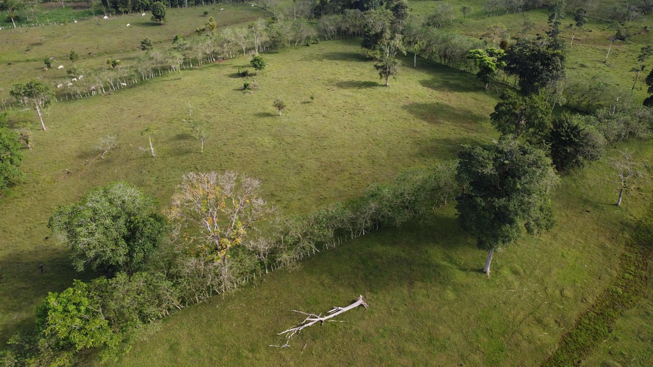 Rancho San Miguel | Enchanting Paradise; Your Ultimate Investment Opportunity in Buenavista de Guatuso, Katira!