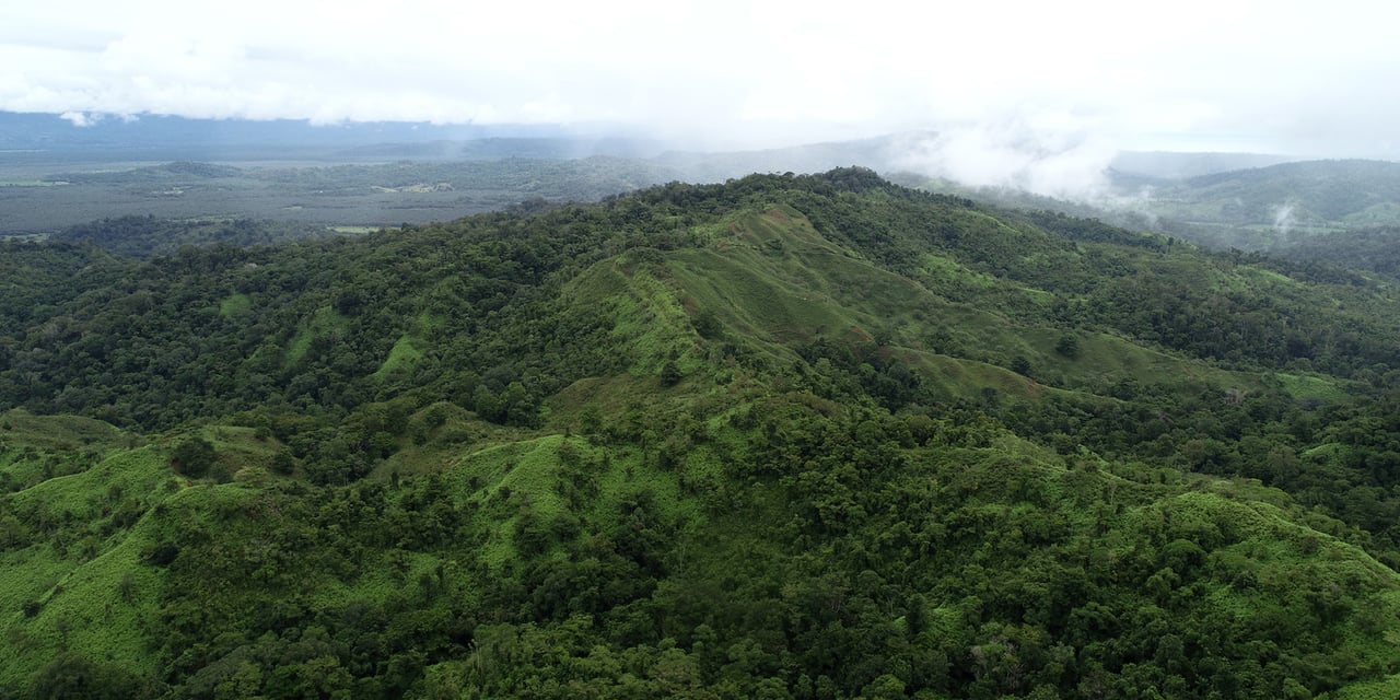 Rainforest Conservation Pasture Land, Osa, Puntarenas