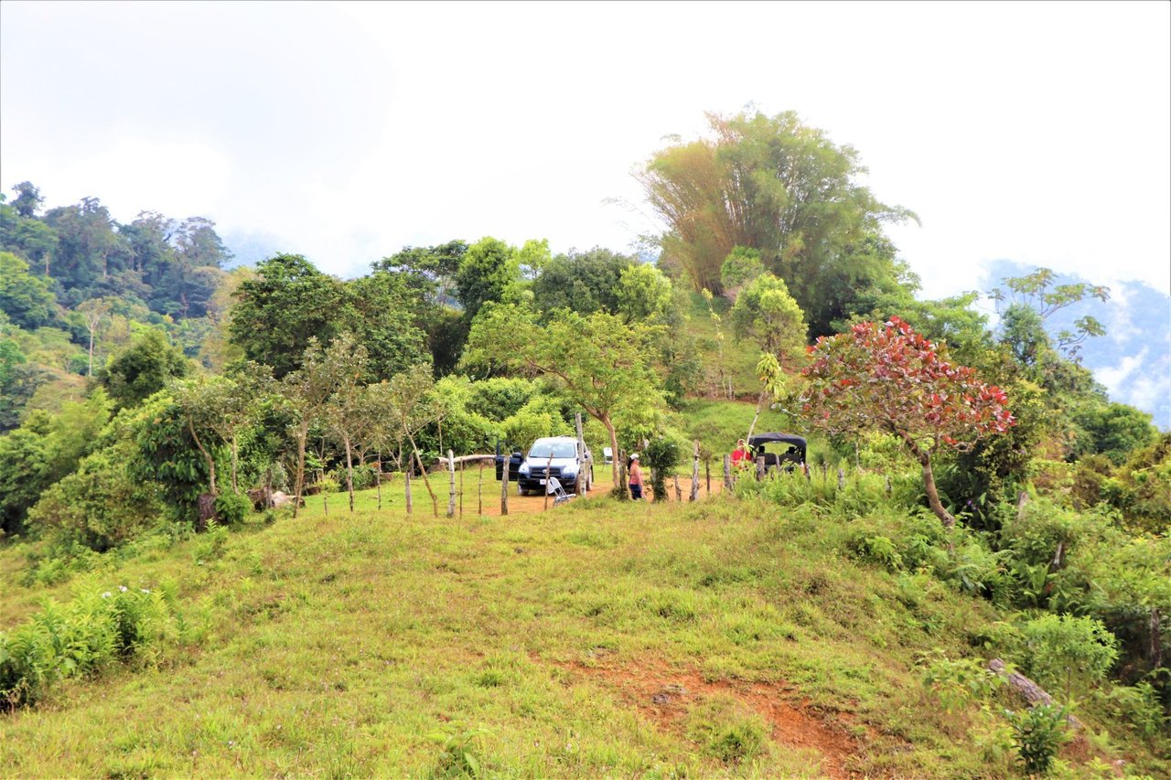 Ocean View Development Farms, Uvita, Puntarenas