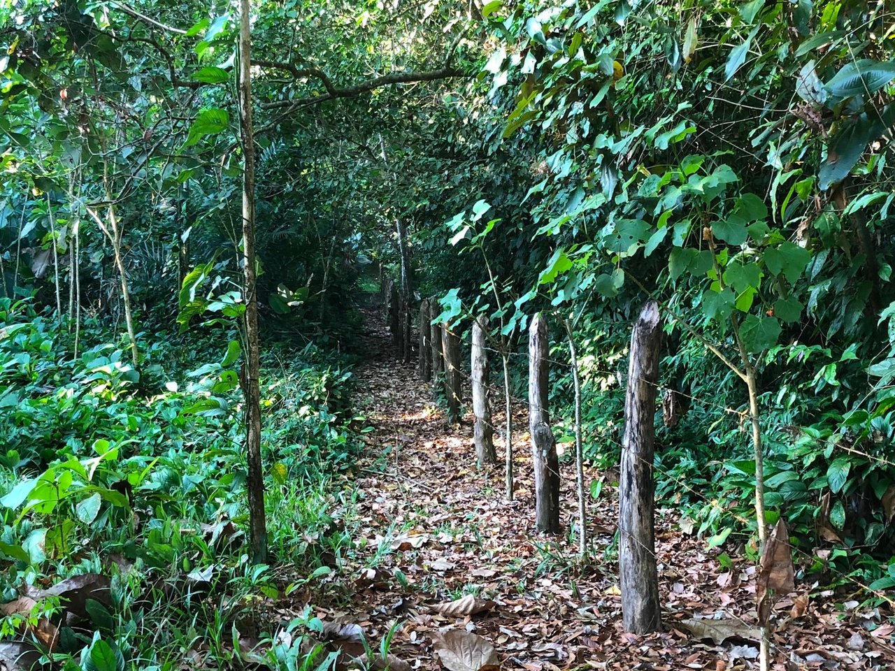 Coastal Development Land, Dominical, Puntarenas