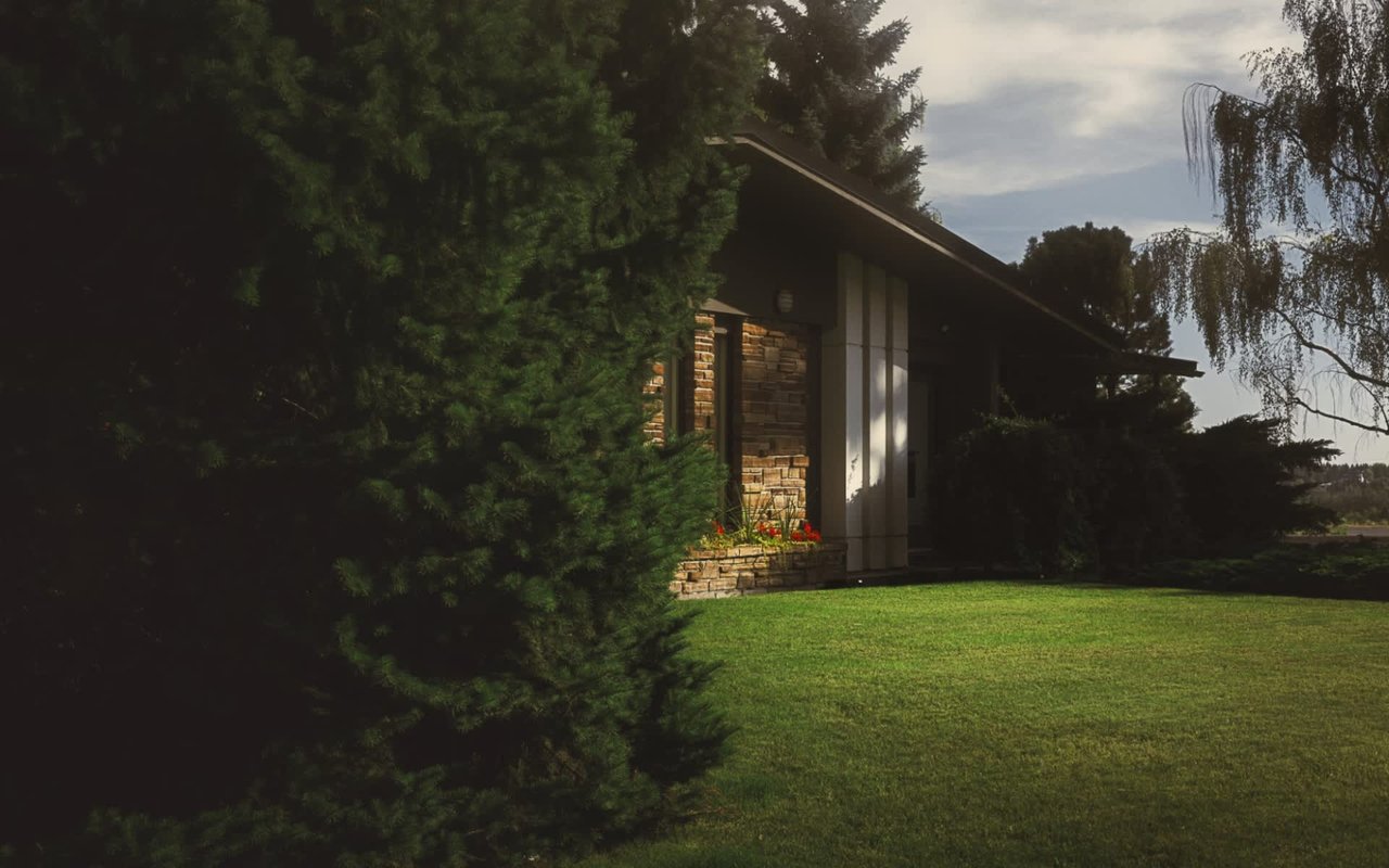 What Does Homeowners Insurance Cover? A Beginner's Guide