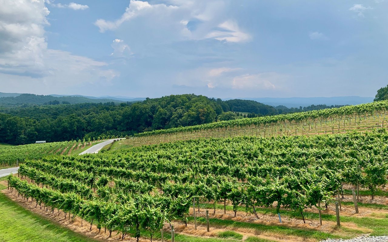 Real Reasons to Grow Your Life and Your Future on a NC Hobby Farm