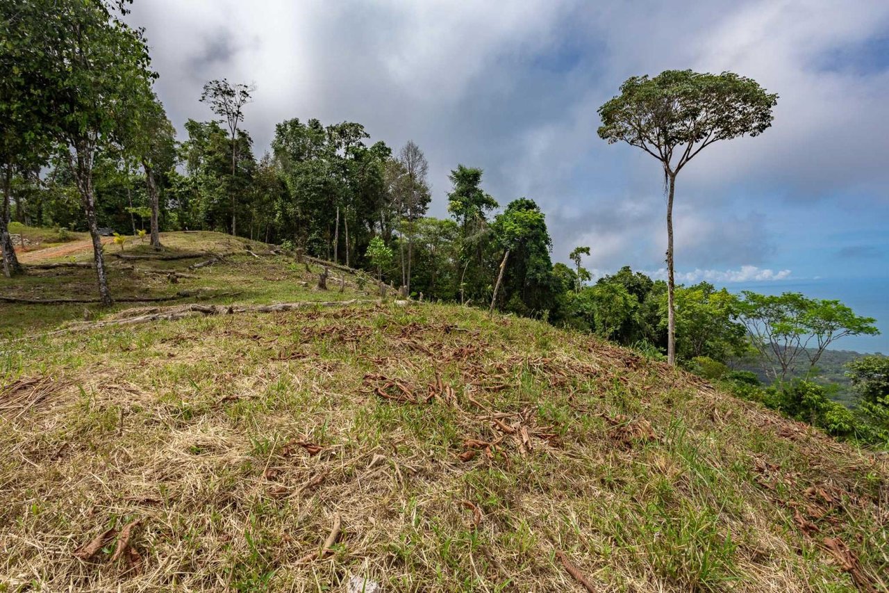 Rare Opportunity: Pristine 16-Acre Oceanview Sanctuary for Exclusive Development in Uvita