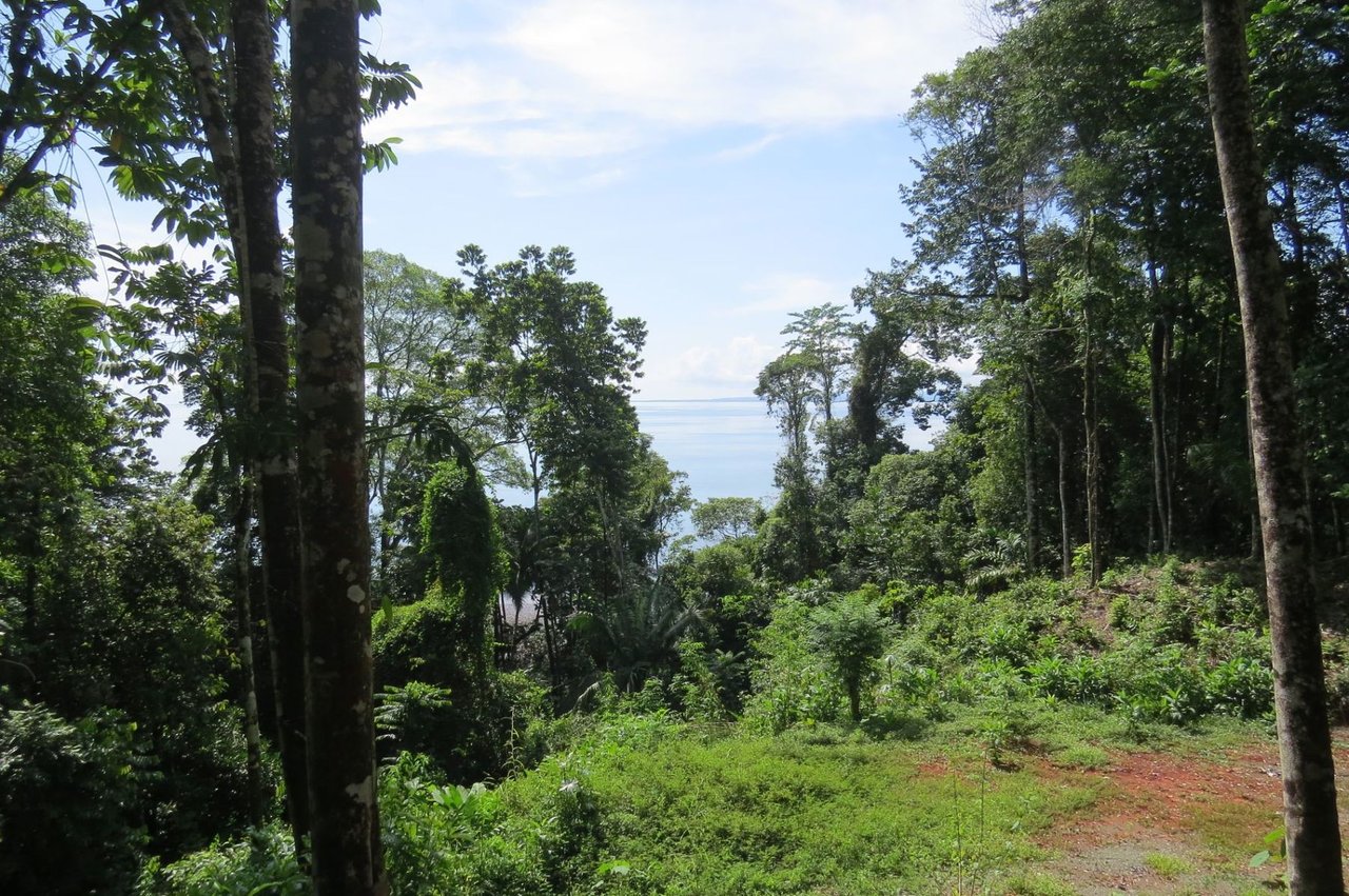 Secluded Rainforest Beachfront Estate, Osa, Puntarenas