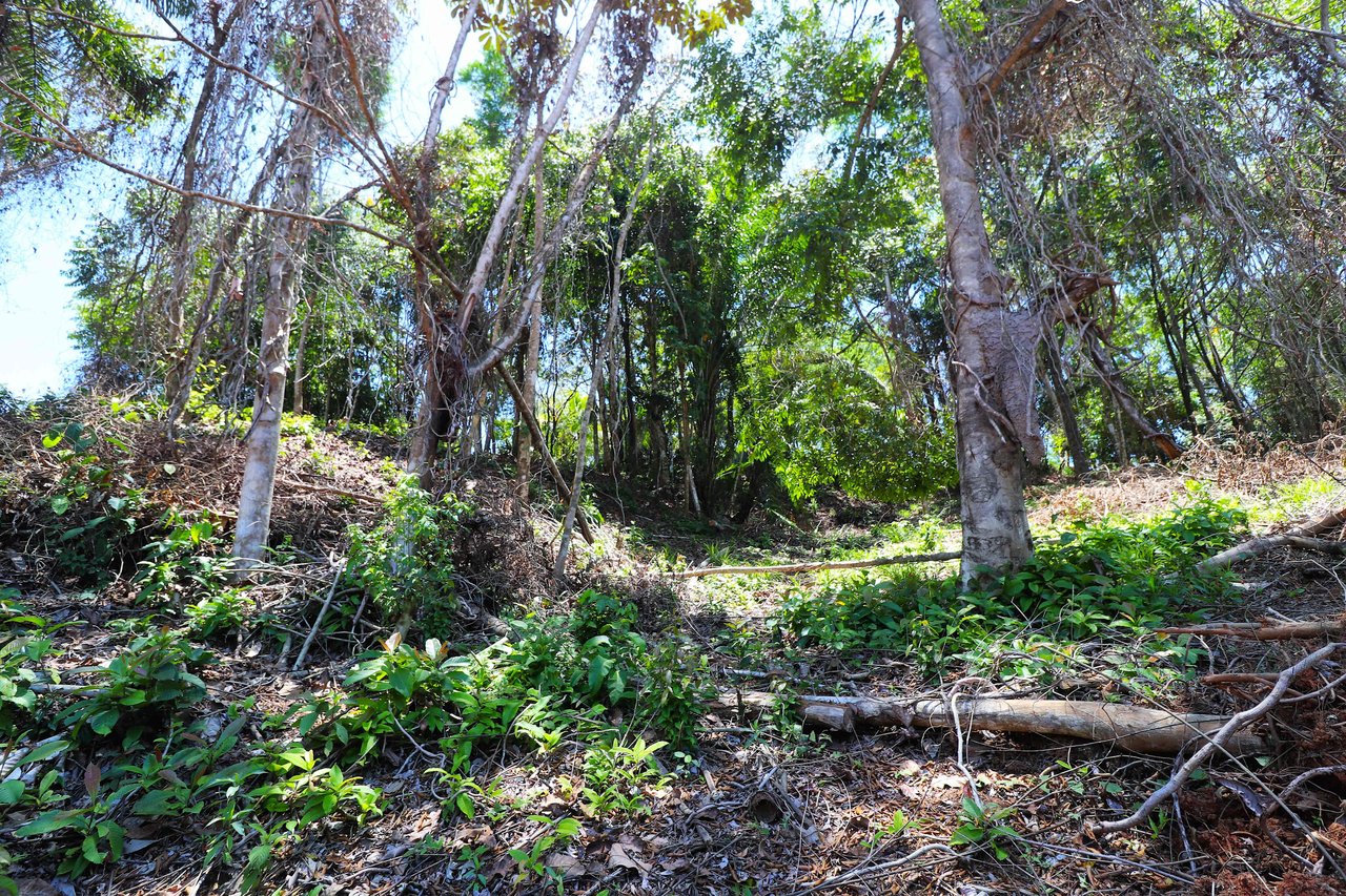 Over One Acre Attractive Lot on the Popular PEREZOSO Road.