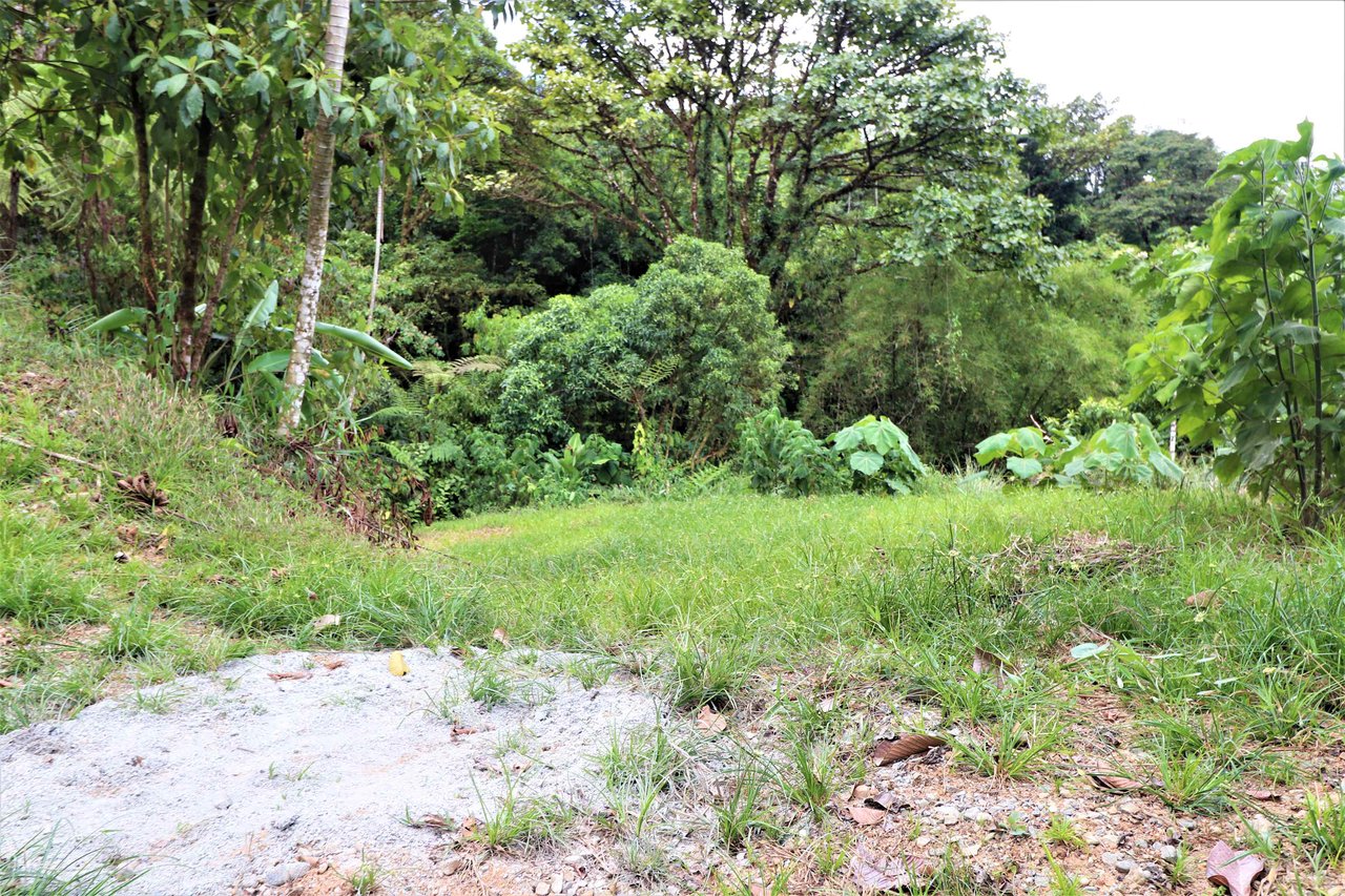 Easy Access, 60 acre farm with 10 building sites and waterfall.