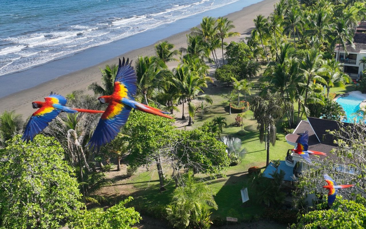 Investment Opportunities in Costa Rica: A Guide to Prosperity