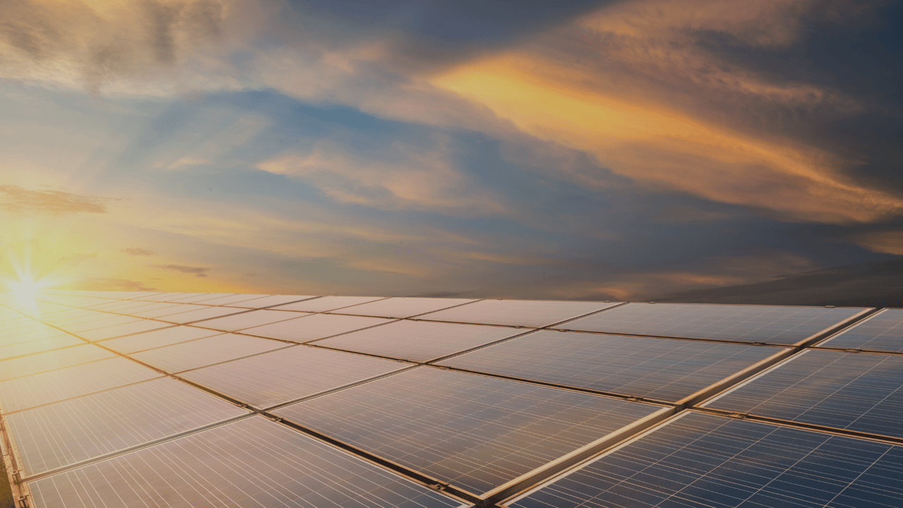 Embracing Sustainability: The Rise of Eco-Friendly Homes in Long Beach and Seal Beach