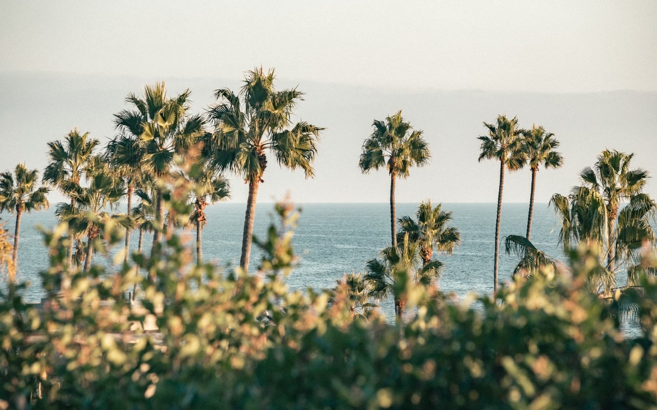 CORONA DEL MAR