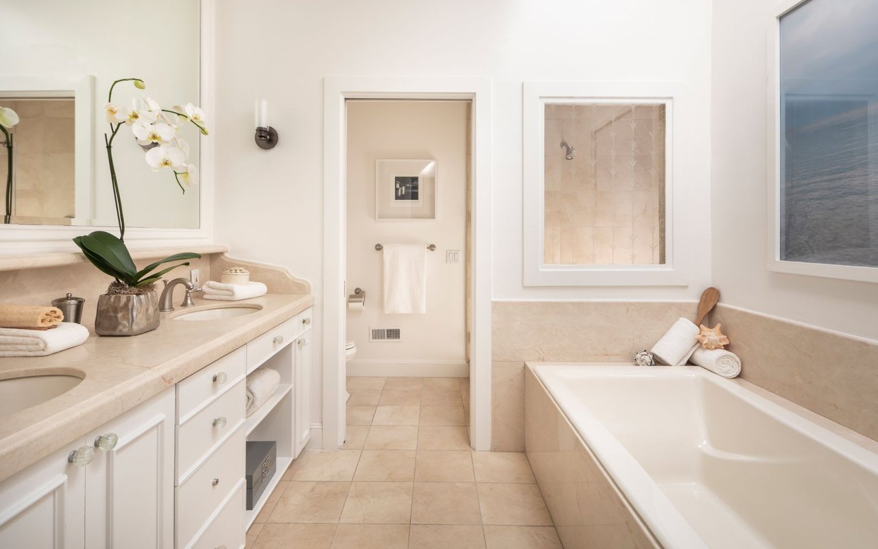 Elegant Home Fronting Alta Plaza Park
