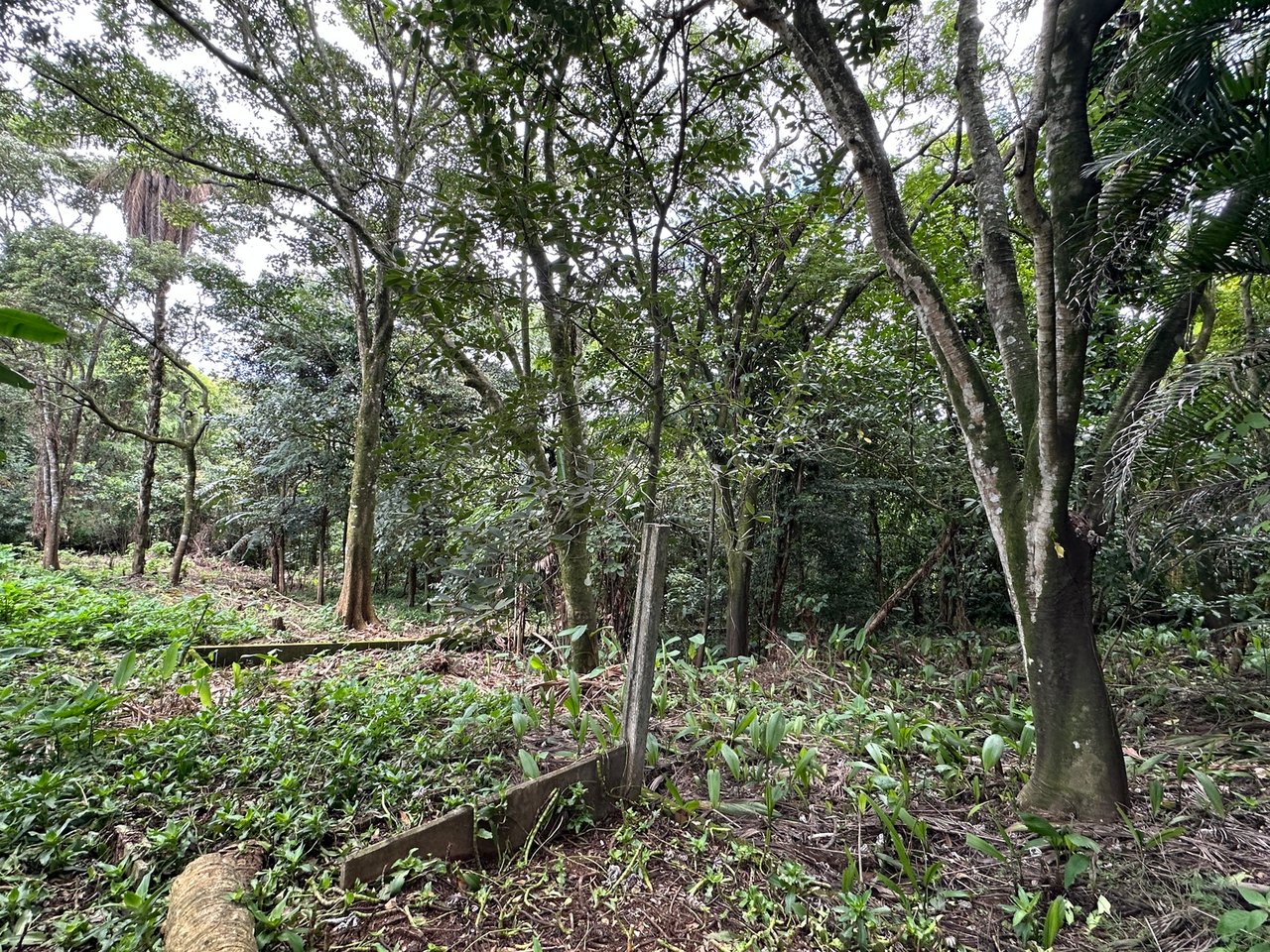 Lush Butterfly Garden Building Lot, Heredia
