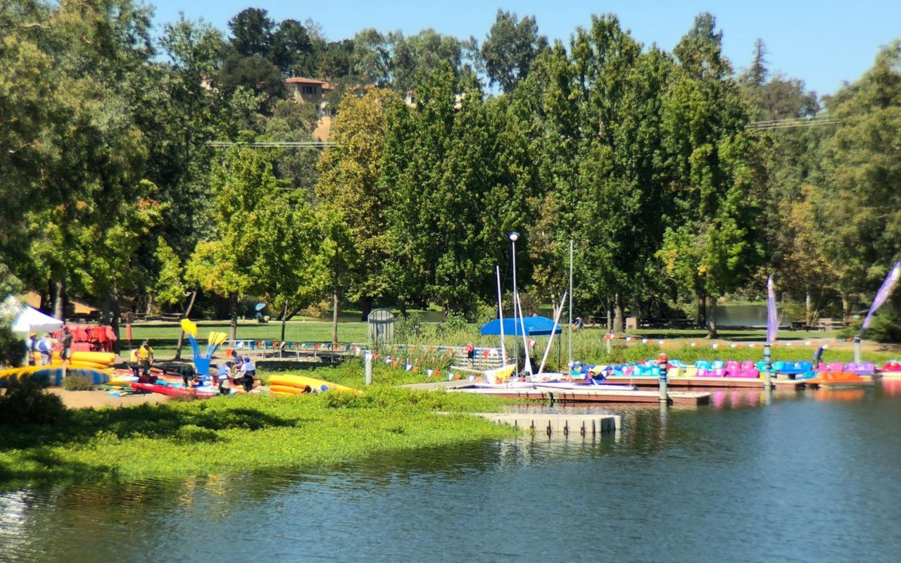 The Ultimate Los Gatos Summer Activities Guide (2023)