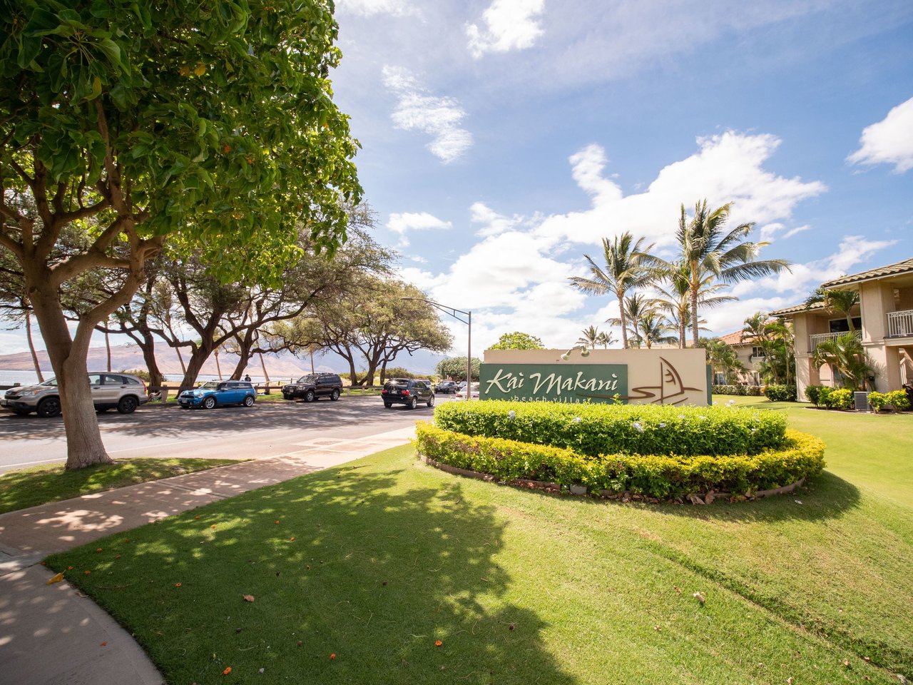 38 Kai Makani  #Q102