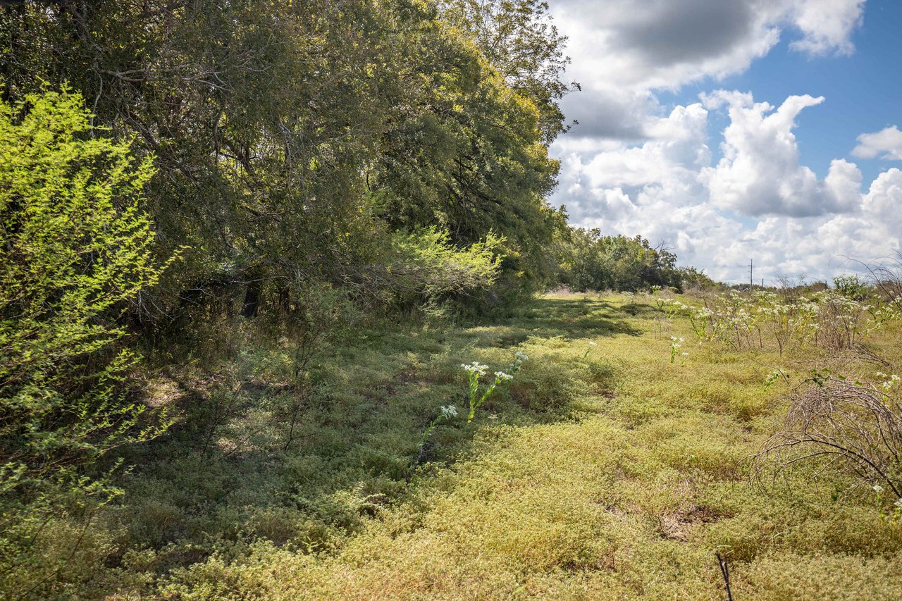 Lovers Lane River Ranch | 140± Acres | DeWitt County