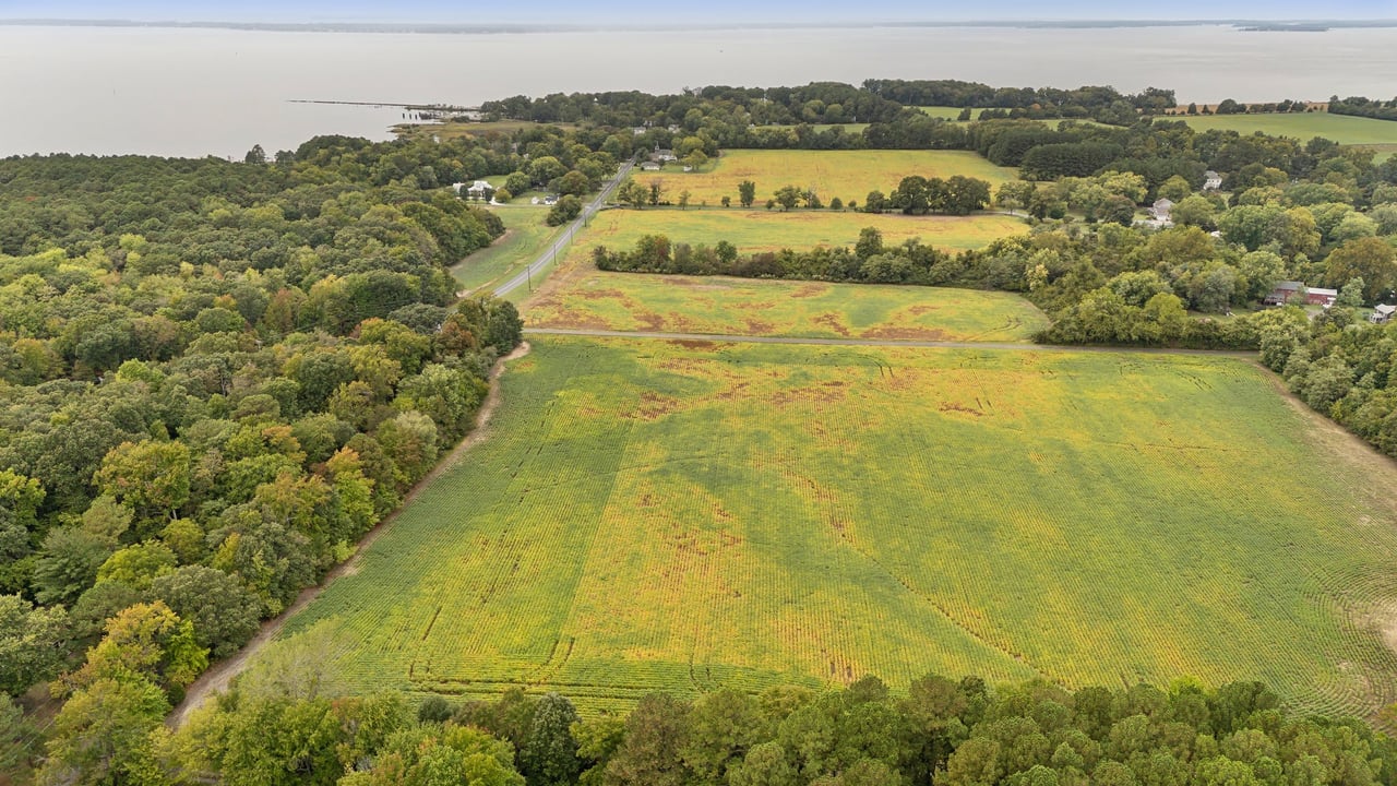 Maple Hall Farm