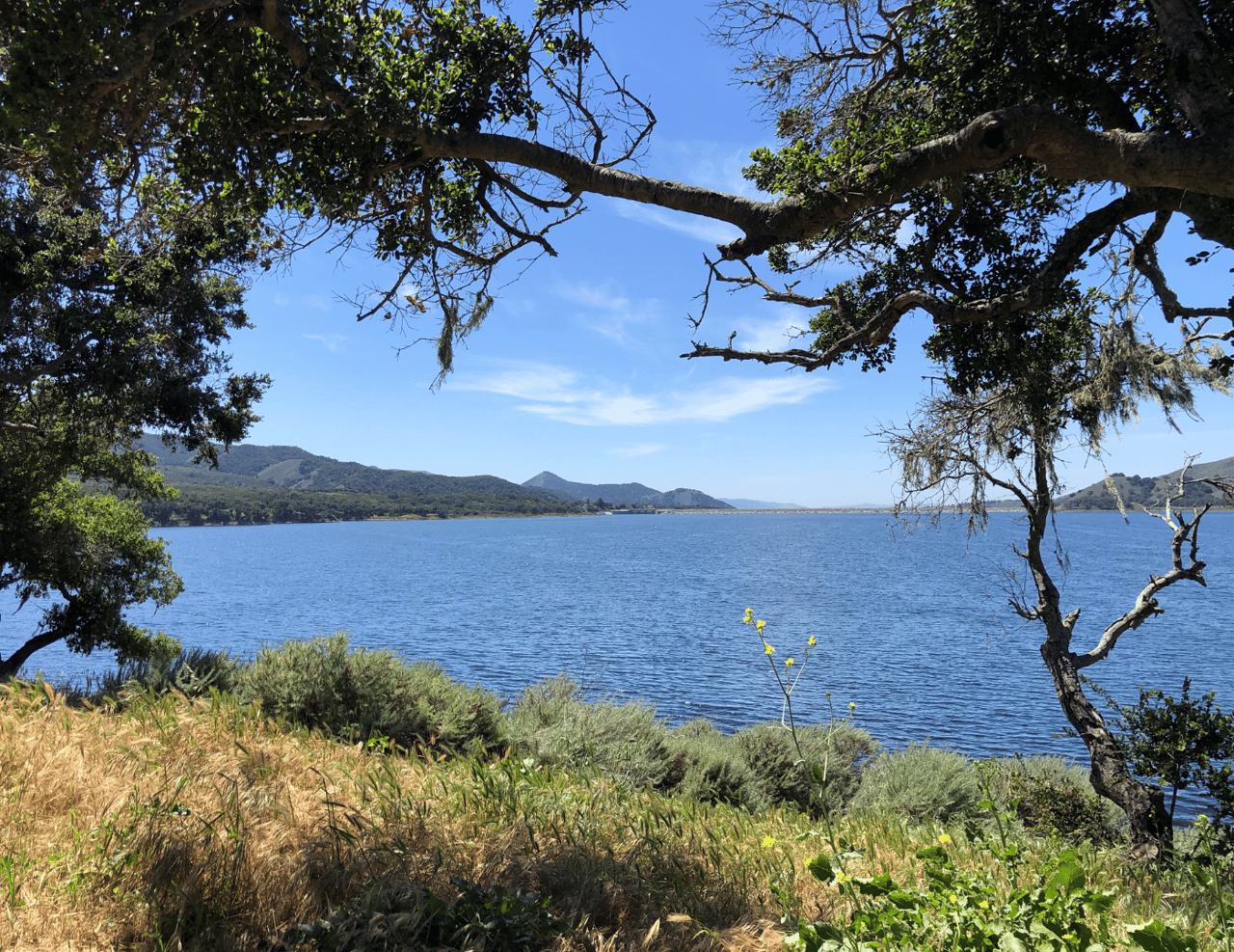 Water Abundance in the Santa Ynez Valley