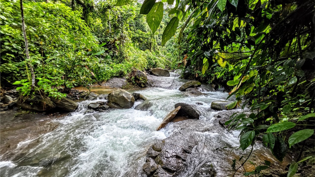 Rainforest Waterfall Acreage Estate, Dominical, Puntarenas