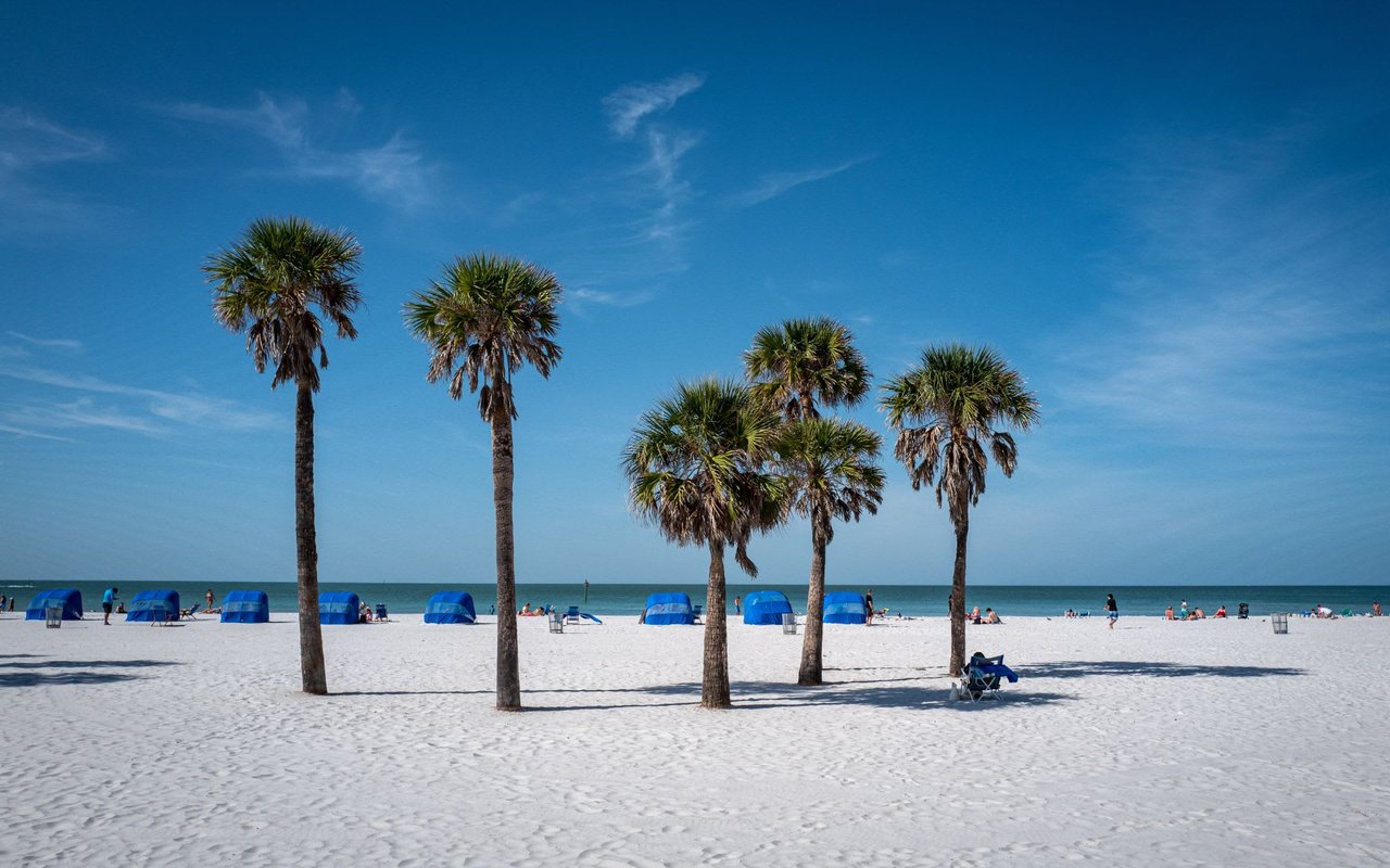 Declutter Your Landscaping