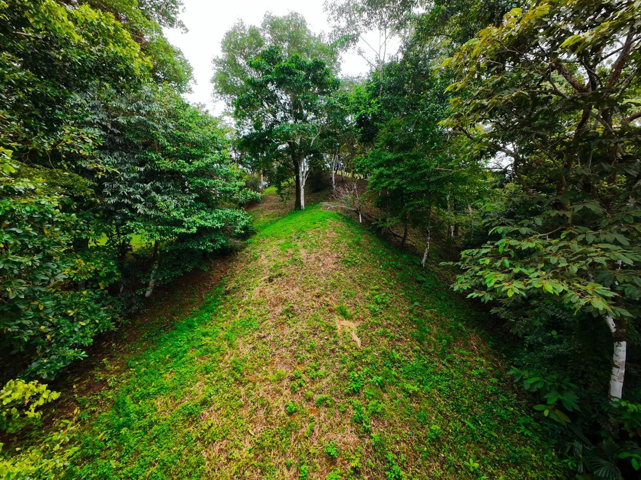Private Ocean View Development Lot, Ojochal, Puntarenas