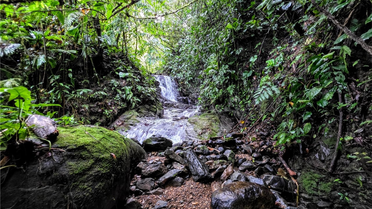 Rainforest Waterfall Acreage Estate, Dominical, Puntarenas