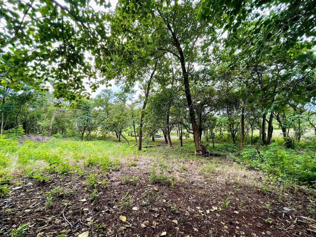 Private Tropical Building Lot, Tamarindo, Guanacaste