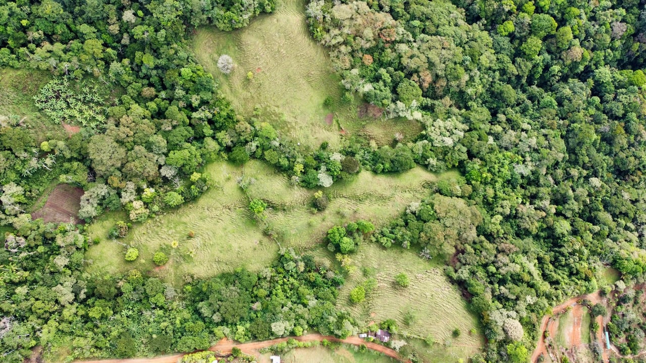 Hidden Gem: Serene Farm Retreat with Majestic Views in Costa Rica