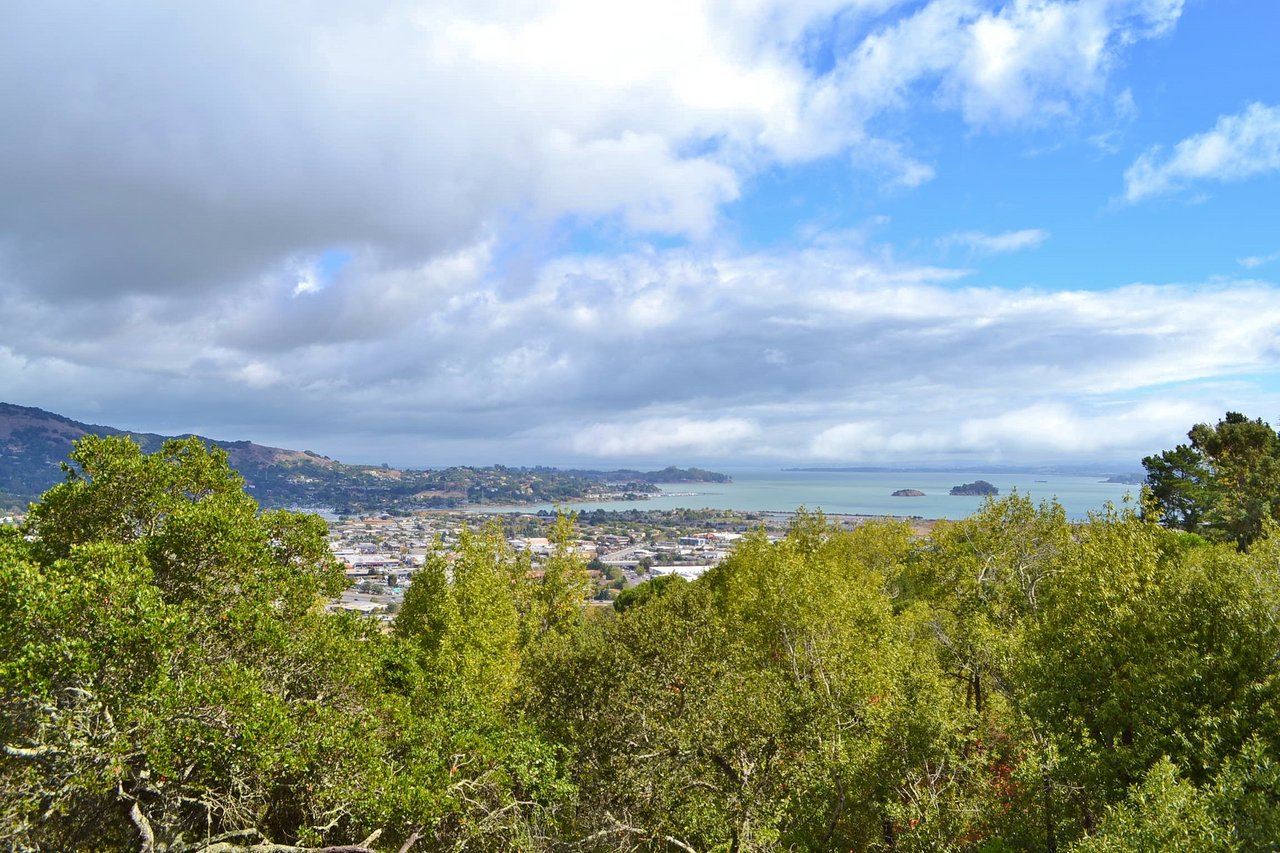 84 Bret Harte Road, San Rafael