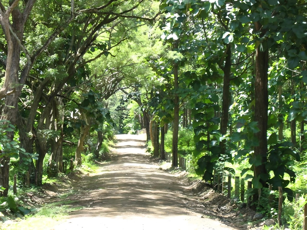 Ocean View Development Acreage, Tamarindo, Guanacaste