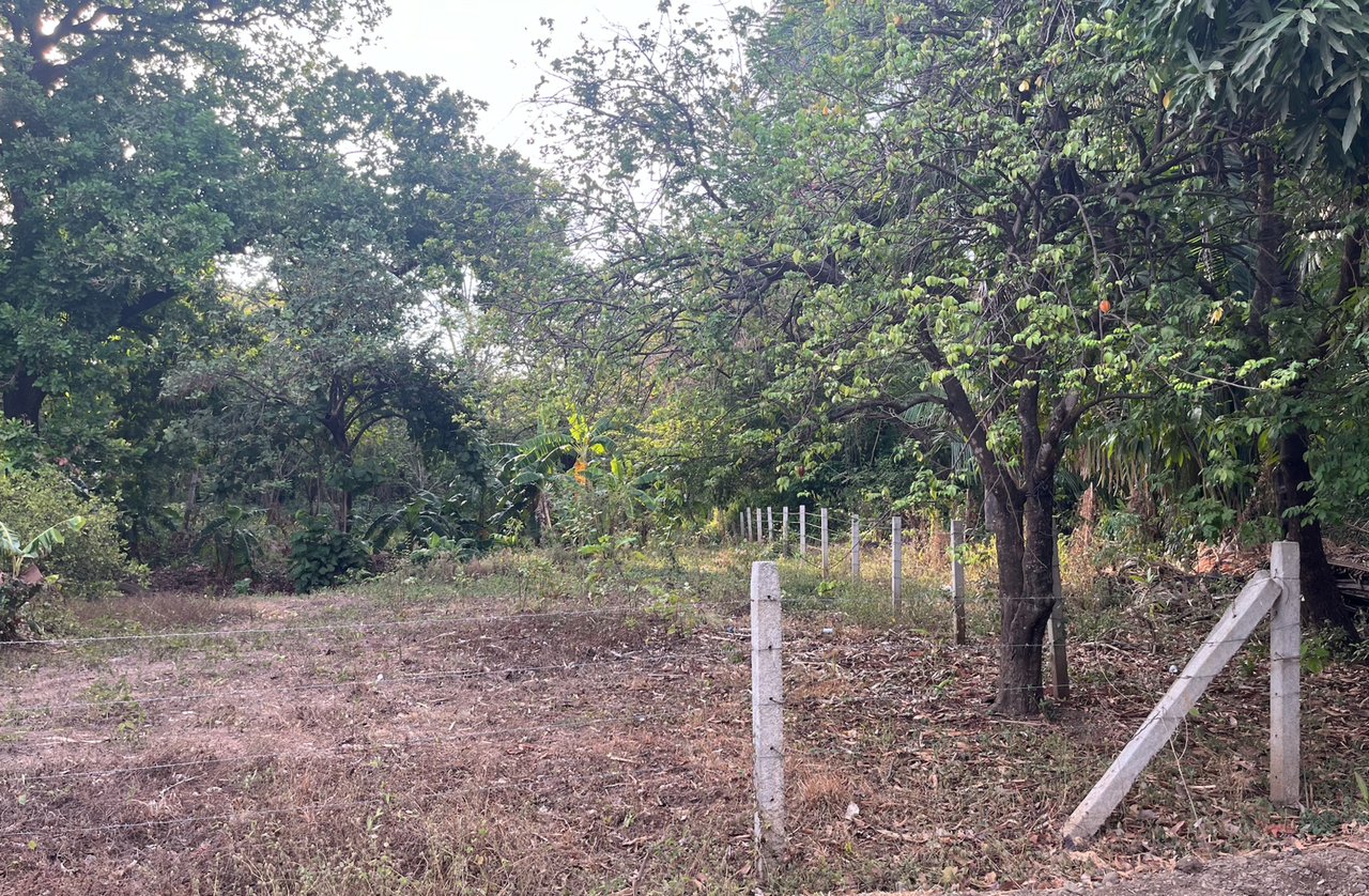 Tropical Development Parcel, Nosara, Guanacaste