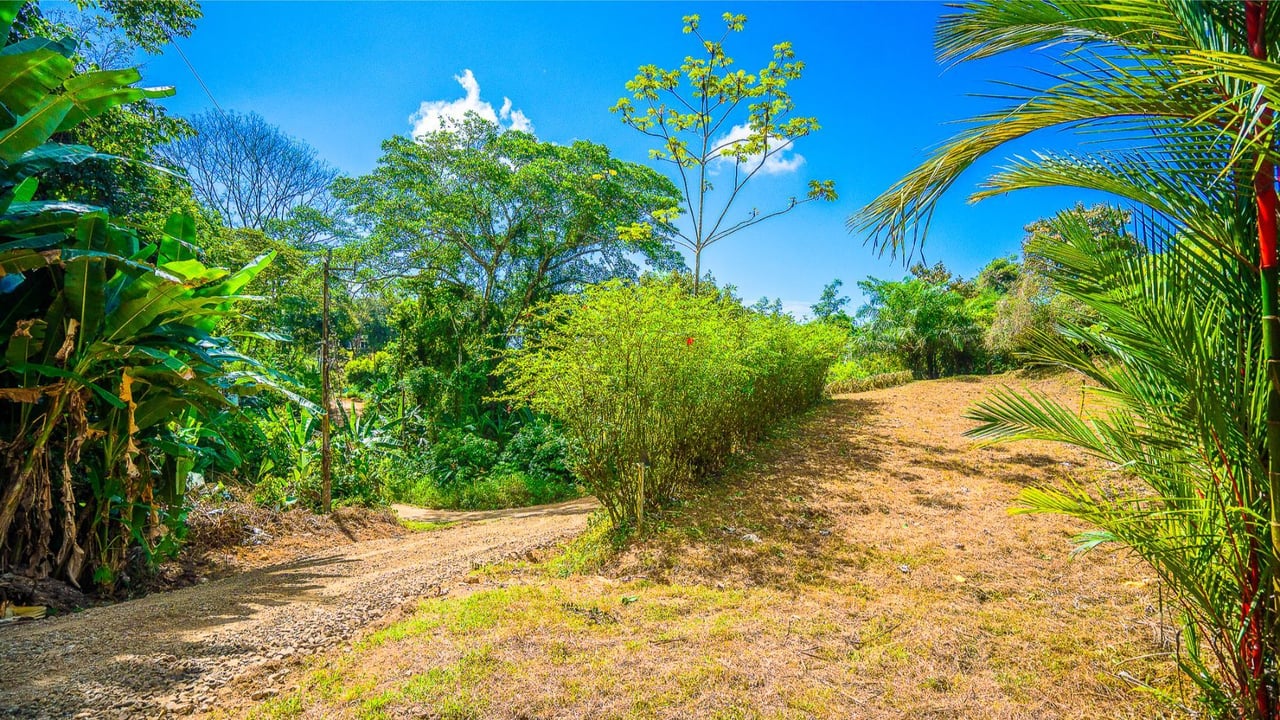 Forest View Build Ready Lot, Ojochal, Puntarenas