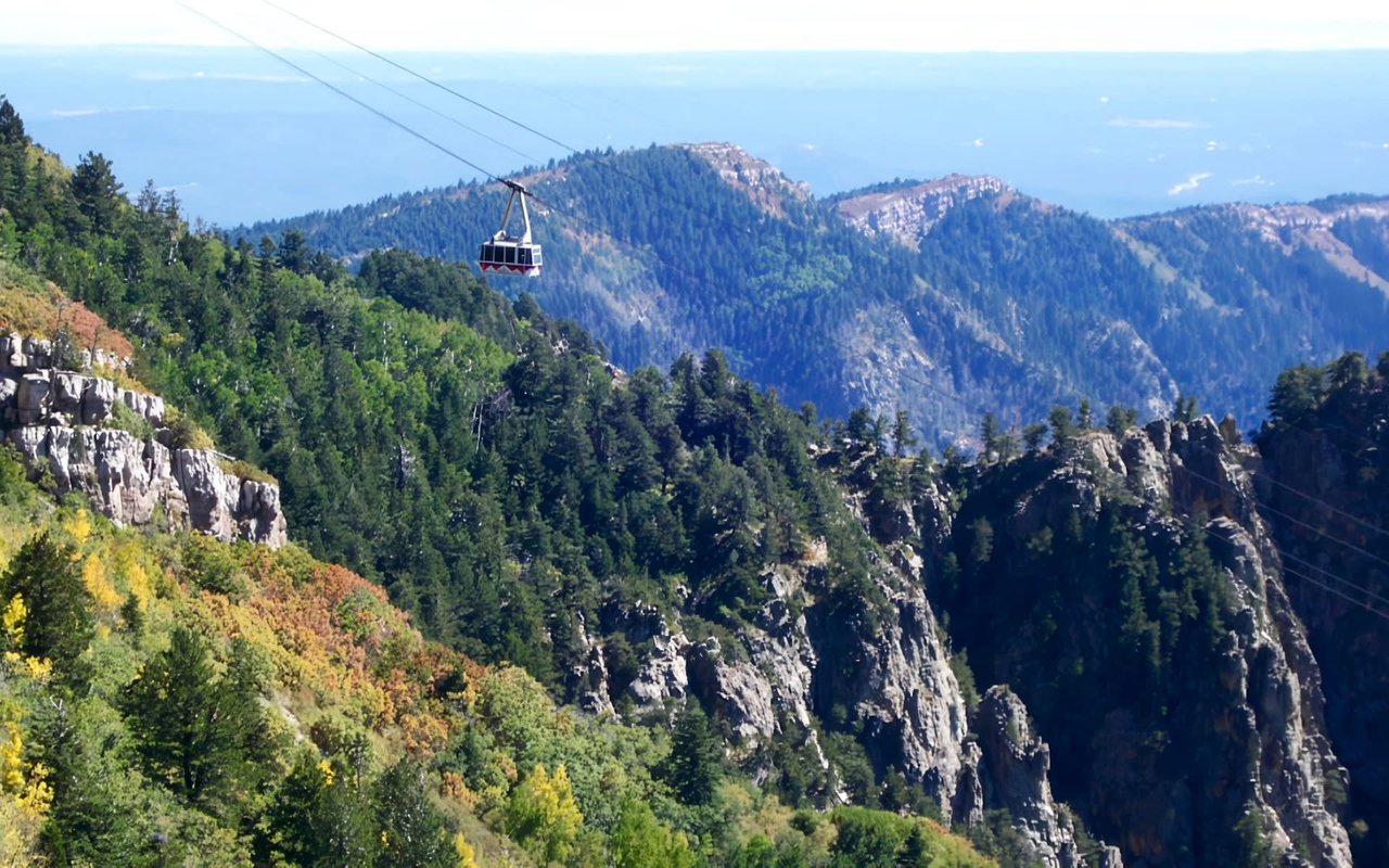 A cable car ascending a mountain covered in trees.