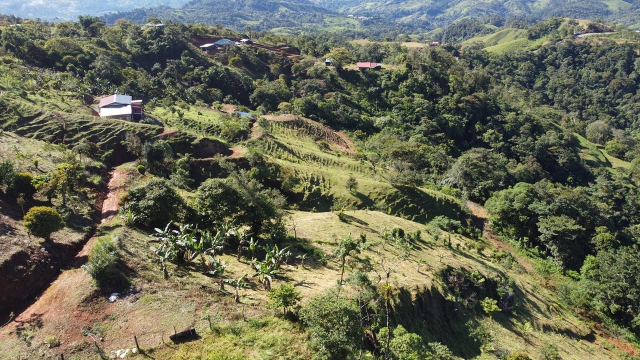 Sustainable Organic Farmstead, Perez Zeledon, San Jose