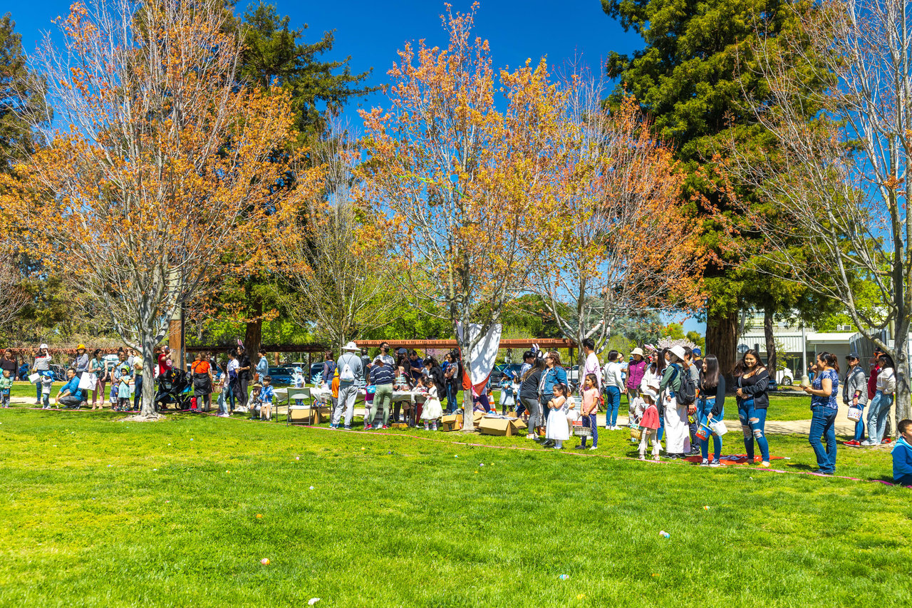 Easter Egg Hunt Fun