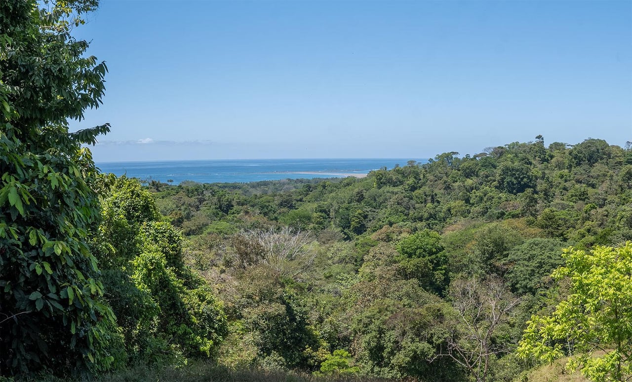 Prime Ocean and Whale tail View Development Land In Uvita