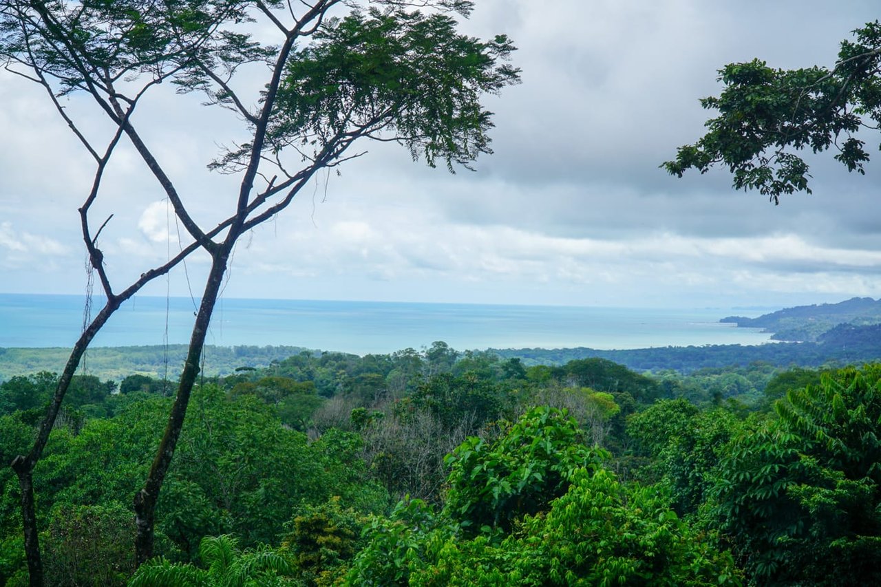 Casa Selva Sustainable Living 