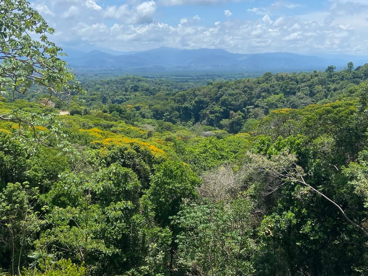 Gated Multi Unit Rental Estate, Manuel Antonio, Puntarenas